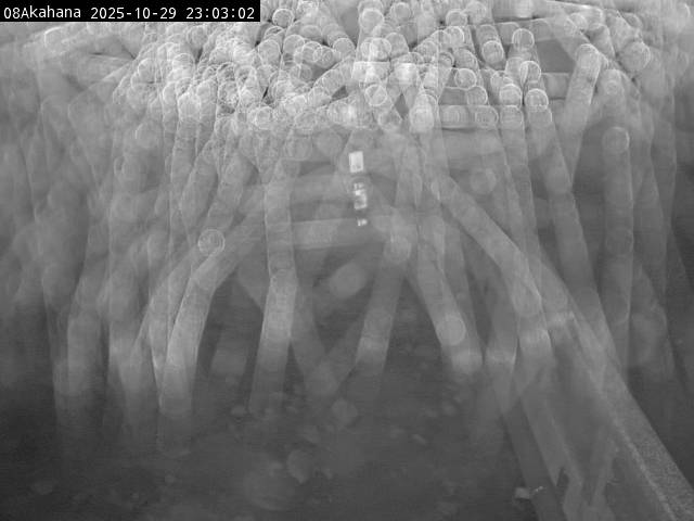 最新監視カメラ画像