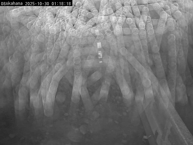 最新監視カメラ画像