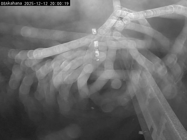 最新監視カメラ画像