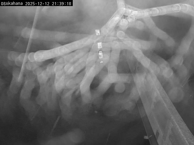 最新監視カメラ画像