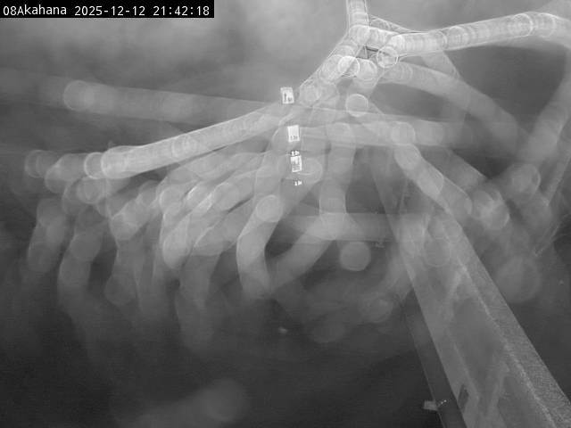 最新監視カメラ画像