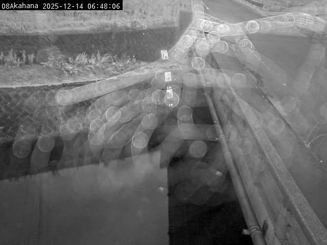 最新監視カメラ画像