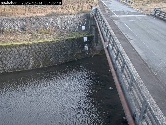 最新監視カメラ画像