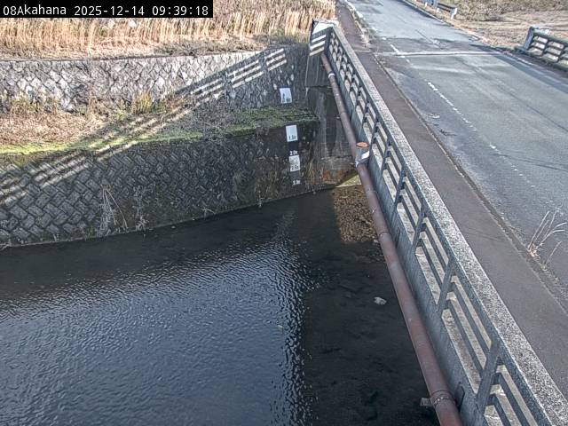 最新監視カメラ画像