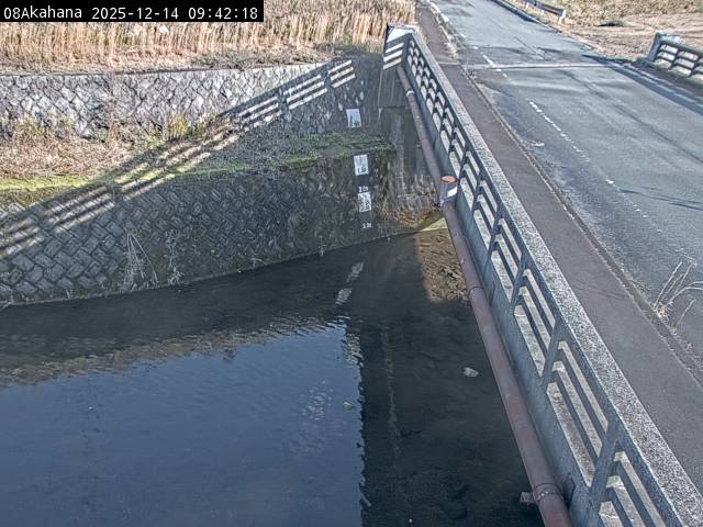 最新監視カメラ画像