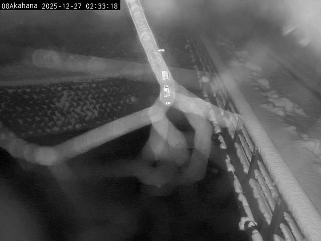 最新監視カメラ画像