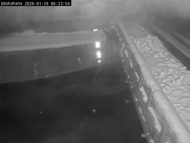 最新監視カメラ画像