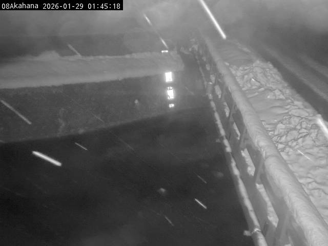 最新監視カメラ画像