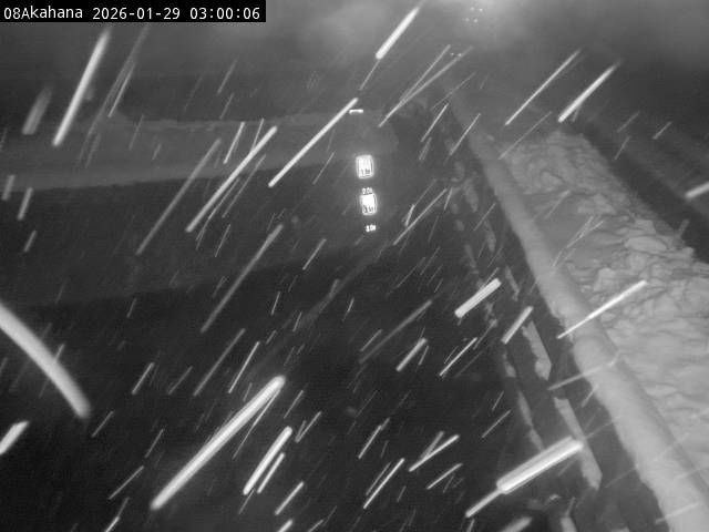 最新監視カメラ画像