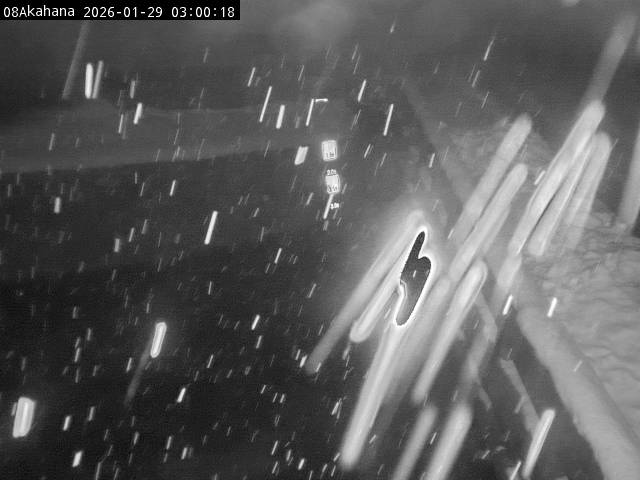 最新監視カメラ画像