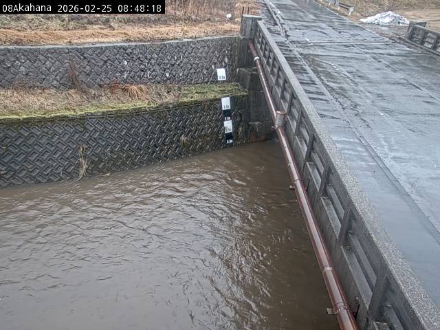 最新監視カメラ画像