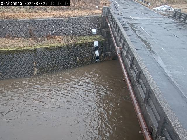 最新監視カメラ画像