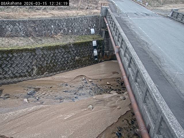 最新監視カメラ画像