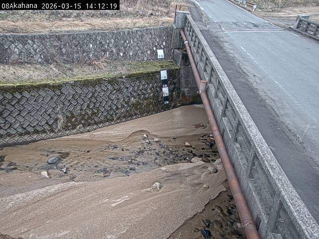 最新監視カメラ画像