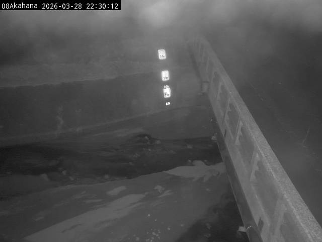 最新監視カメラ画像