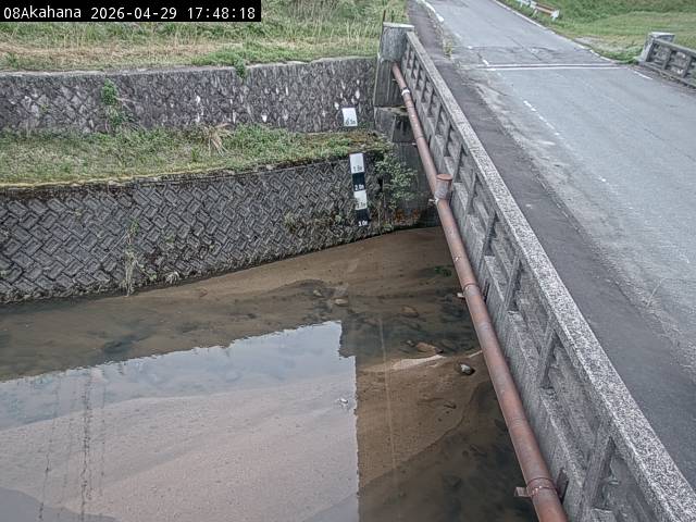 最新監視カメラ画像