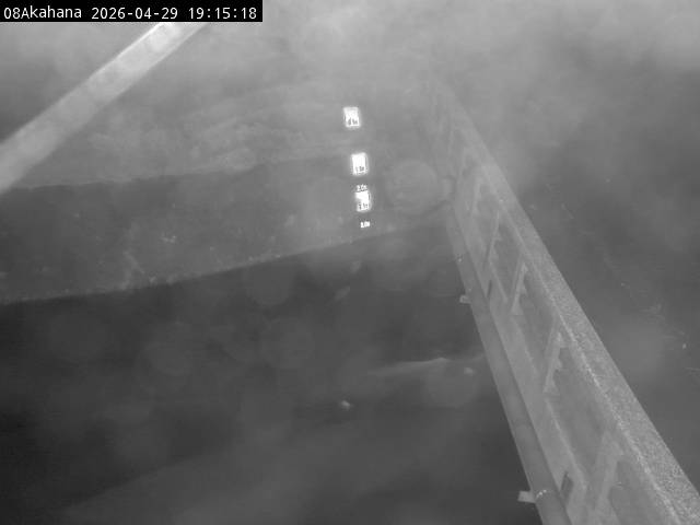 最新監視カメラ画像