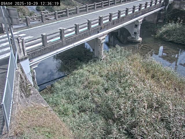 最新監視カメラ画像