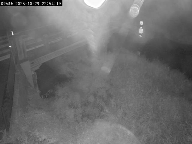 最新監視カメラ画像