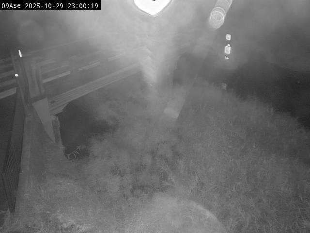 最新監視カメラ画像