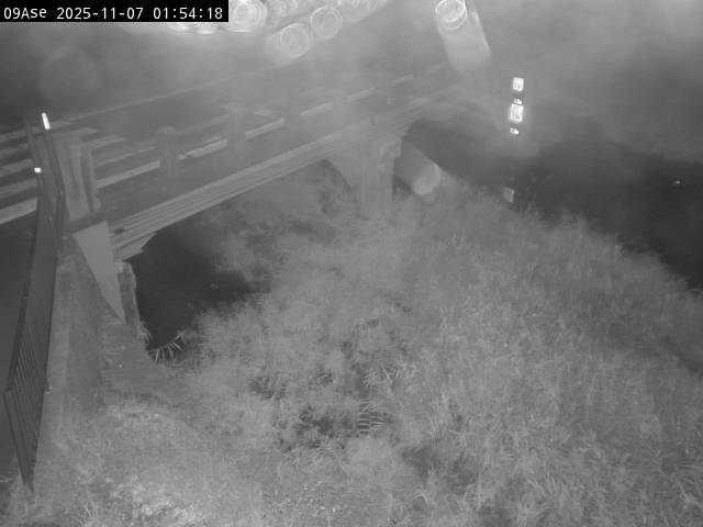 最新監視カメラ画像