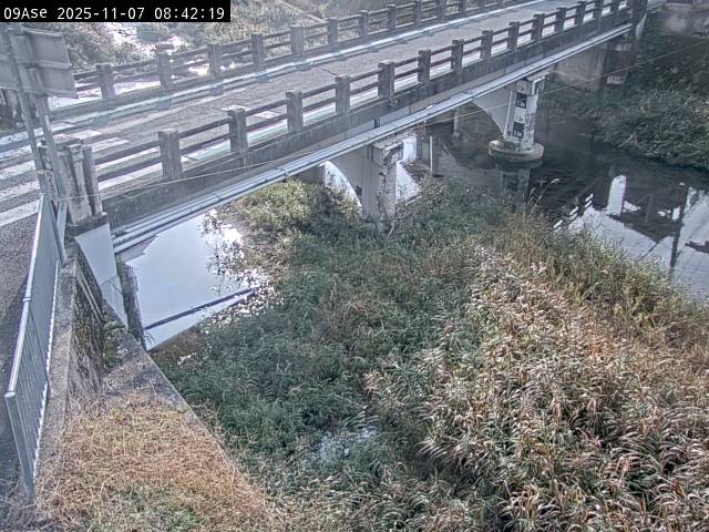 最新監視カメラ画像