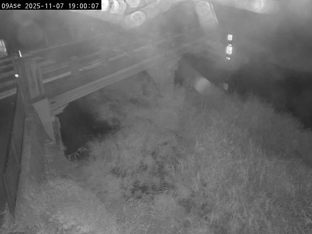 最新監視カメラ画像