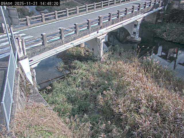 最新監視カメラ画像