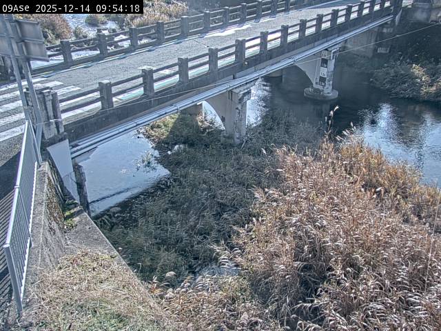 最新監視カメラ画像