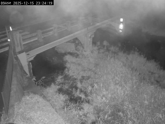 最新監視カメラ画像