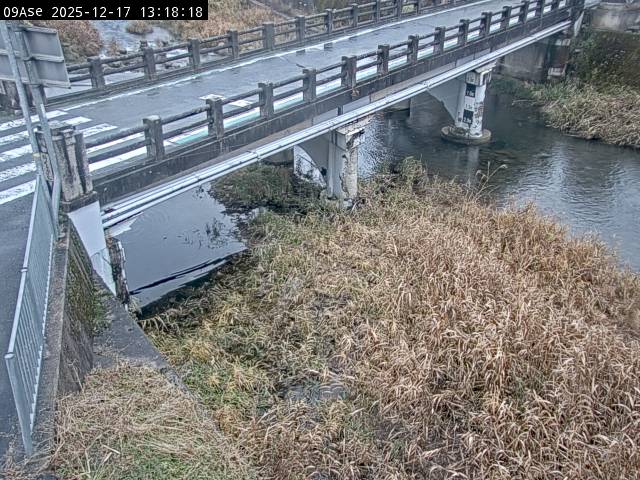 最新監視カメラ画像