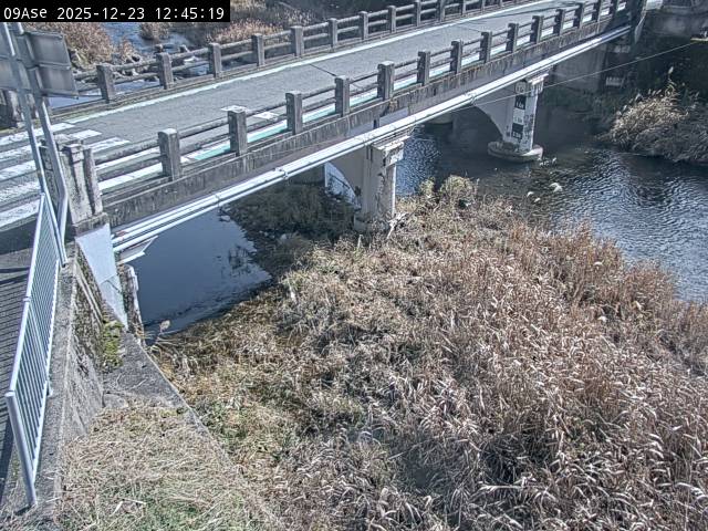 最新監視カメラ画像