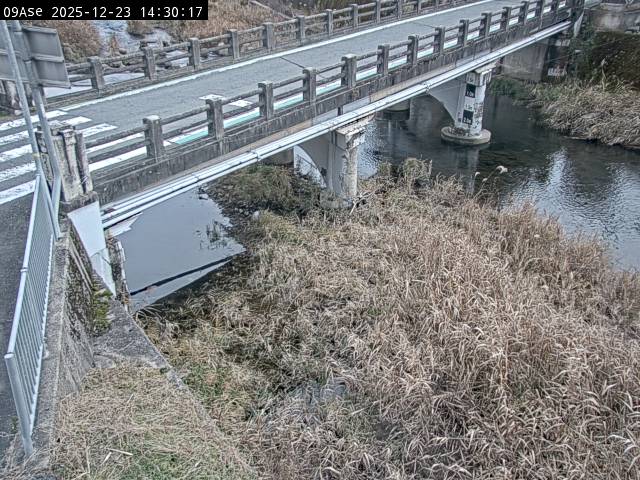 最新監視カメラ画像