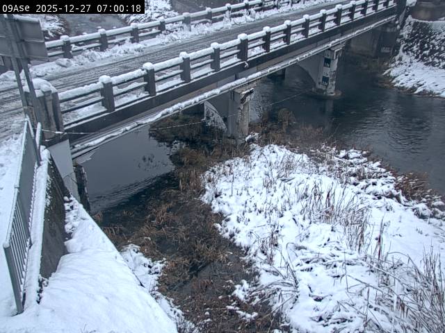 最新監視カメラ画像