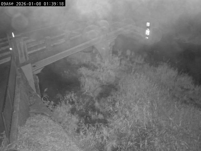 最新監視カメラ画像