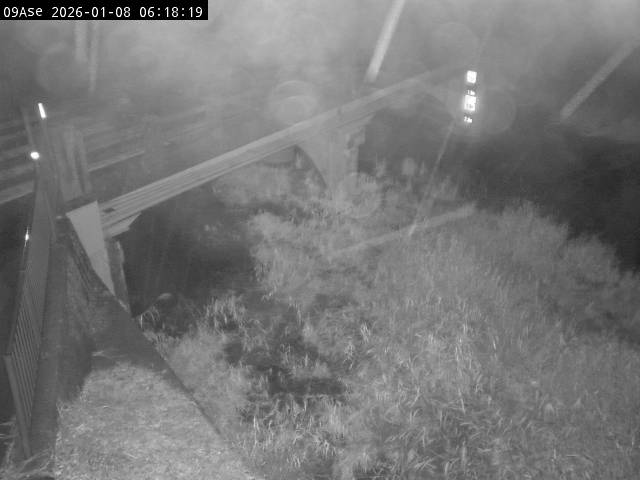 最新監視カメラ画像