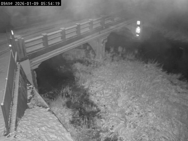 最新監視カメラ画像