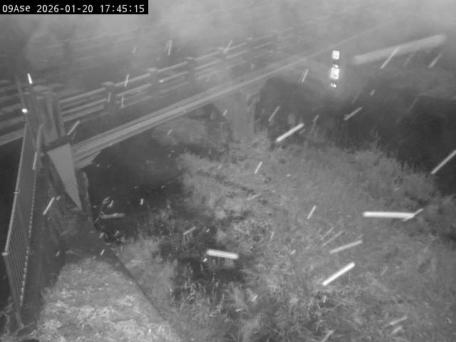 最新監視カメラ画像