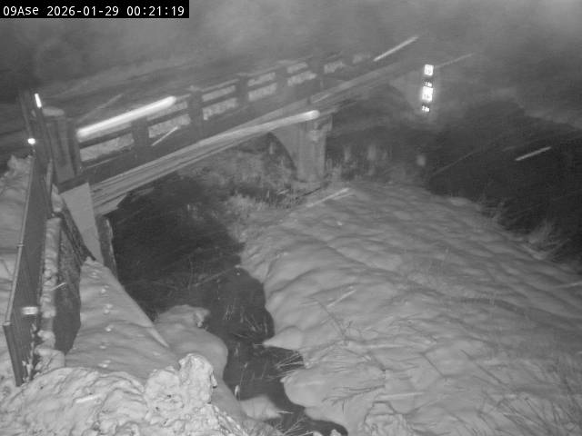 最新監視カメラ画像