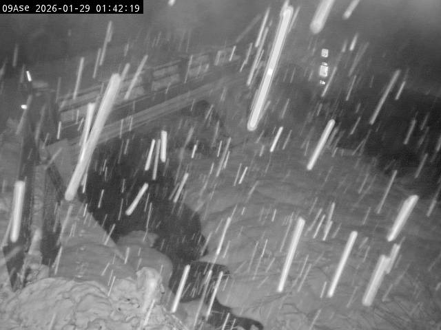 最新監視カメラ画像