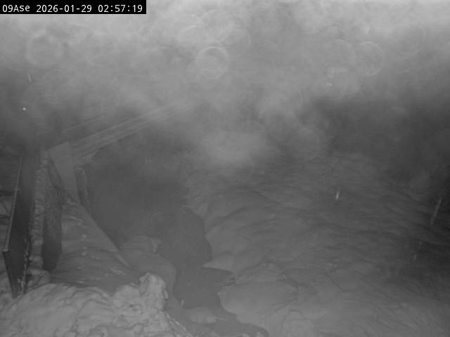 最新監視カメラ画像