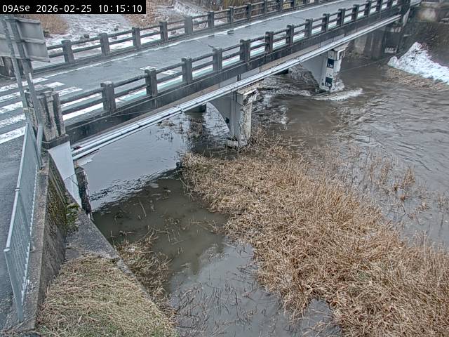 最新監視カメラ画像