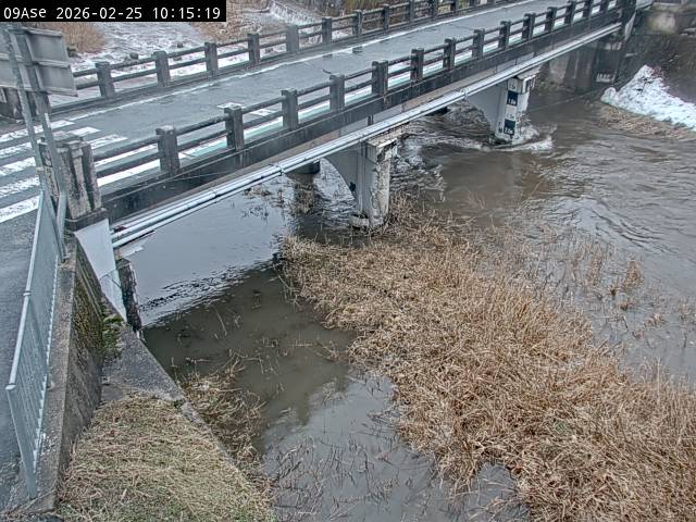 最新監視カメラ画像