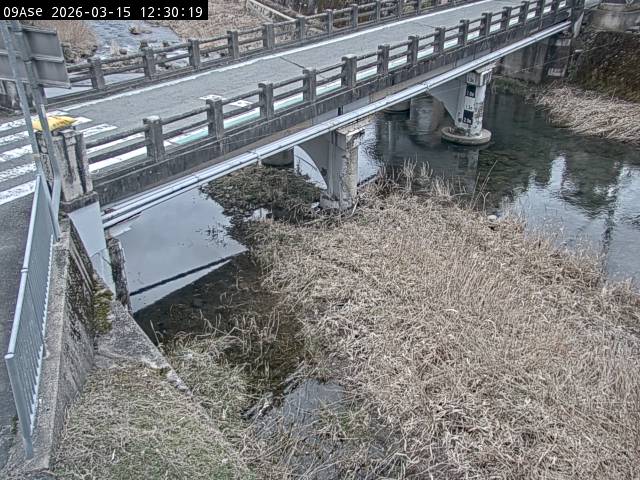 最新監視カメラ画像