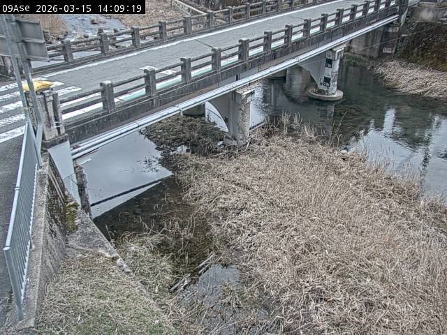 最新監視カメラ画像