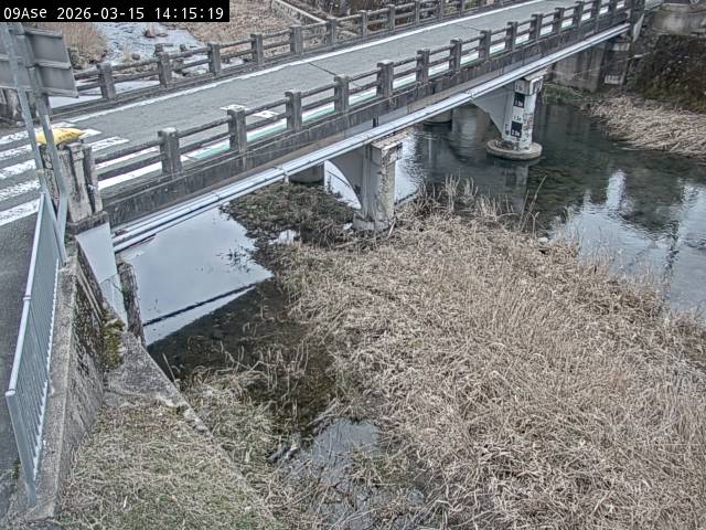 最新監視カメラ画像