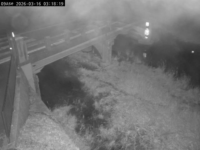 最新監視カメラ画像