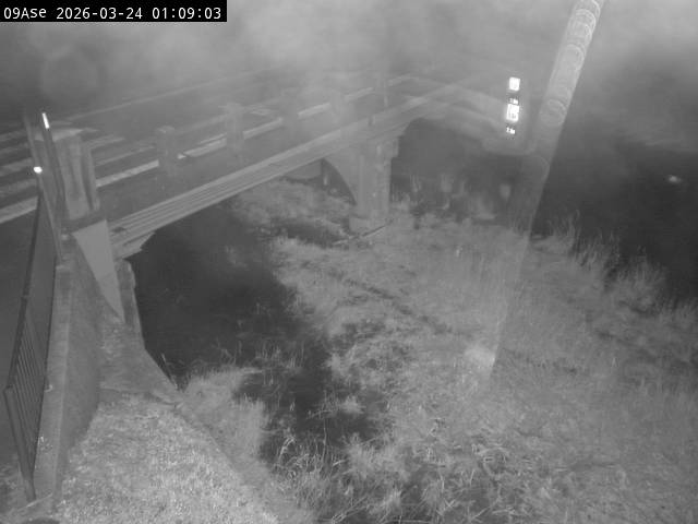 最新監視カメラ画像