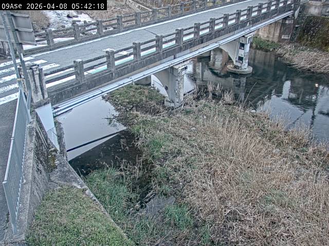 最新監視カメラ画像