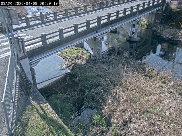 最新監視カメラ画像